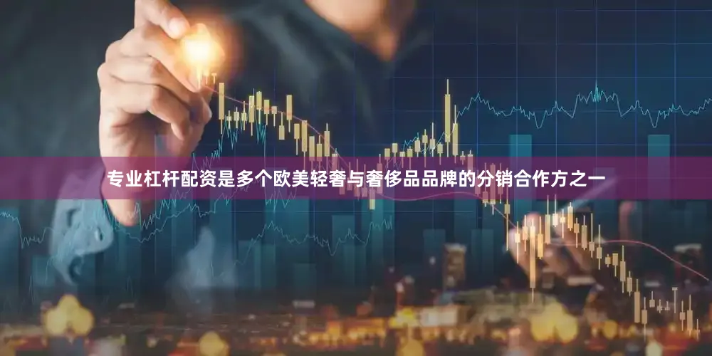 专业杠杆配资是多个欧美轻奢与奢侈品品牌的分销合作方之一